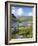 Ring of Kerry Between Upper Lake and Muckross Lake, Munster, Republic of Ireland (Eire)-Roy Rainford-Framed Photographic Print