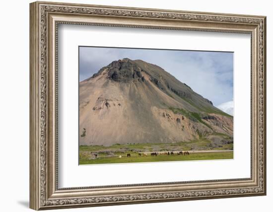 Ring Road Between Hšfn and Djupivogur-Catharina Lux-Framed Photographic Print