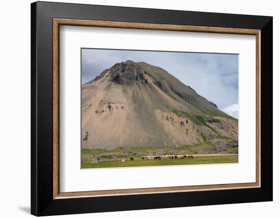 Ring Road Between Hšfn and Djupivogur-Catharina Lux-Framed Photographic Print