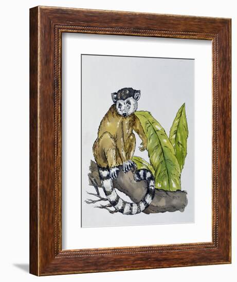 Ring-Tailed Lemur (Lemur Catta), Lemuridae-null-Framed Giclee Print