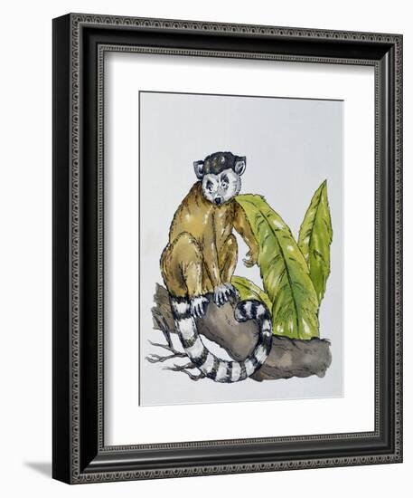 Ring-Tailed Lemur (Lemur Catta), Lemuridae-null-Framed Giclee Print