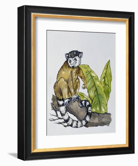 Ring-Tailed Lemur (Lemur Catta), Lemuridae-null-Framed Giclee Print