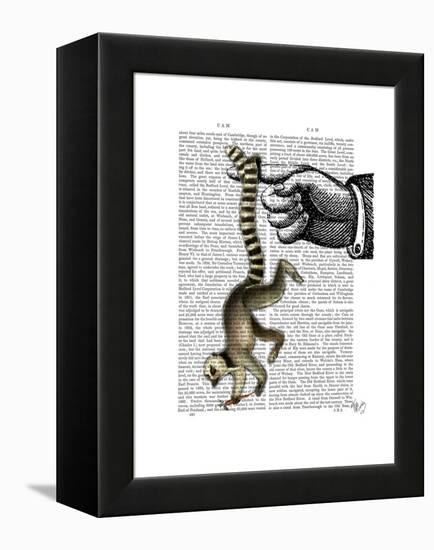 Ring Tailed Lemur on Finger-Fab Funky-Framed Stretched Canvas
