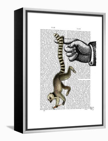 Ring Tailed Lemur on Finger-Fab Funky-Framed Stretched Canvas