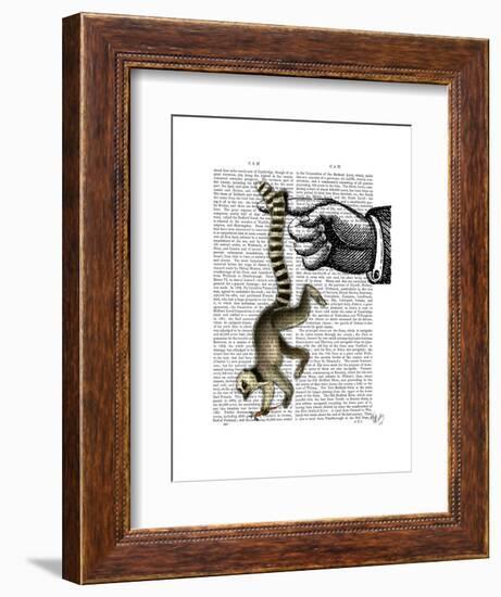 Ring Tailed Lemur on Finger-Fab Funky-Framed Art Print