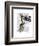 Ring Tailed Lemur on Finger-Fab Funky-Framed Art Print