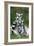 Ring-Tailed Lemur with Young-null-Framed Photographic Print