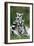 Ring-Tailed Lemur with Young-null-Framed Photographic Print