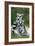 Ring-Tailed Lemur with Young-null-Framed Photographic Print