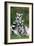 Ring-Tailed Lemur with Young-null-Framed Photographic Print