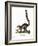 Ring-Tailed Lemur-null-Framed Giclee Print