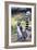 Ring tailed lemurs (Lemur catta), Anja Reserve, Ambalavao, central area, Madagascar, Africa-Christian Kober-Framed Photographic Print