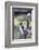 Ring tailed lemurs (Lemur catta), Anja Reserve, Ambalavao, central area, Madagascar, Africa-Christian Kober-Framed Photographic Print