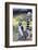 Ring tailed lemurs (Lemur catta), Anja Reserve, Ambalavao, central area, Madagascar, Africa-Christian Kober-Framed Photographic Print