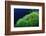 Ringed Puffer (Arothron Hispidus) on Algae, Indonesia, Sulawesi, Indian Ocean.-Reinhard Dirscherl-Framed Photographic Print