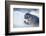 Ringed Seal Pup, Nunavut, Canada-Paul Souders-Framed Photographic Print