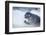 Ringed Seal Pup, Nunavut, Canada-Paul Souders-Framed Photographic Print