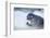 Ringed Seal Pup, Nunavut, Canada-Paul Souders-Framed Photographic Print