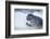 Ringed Seal Pup, Nunavut, Canada-Paul Souders-Framed Photographic Print