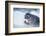 Ringed Seal Pup, Nunavut, Canada-Paul Souders-Framed Photographic Print