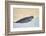 Ringed Seal Pup, Nunavut, Canada-Paul Souders-Framed Photographic Print