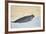 Ringed Seal Pup, Nunavut, Canada-Paul Souders-Framed Photographic Print