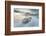 Ringed Seal Pup on Iceberg, Nunavut Territory, Canada-Paul Souders-Framed Photographic Print