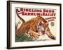 Ringling Brothers and Barnum Bailey Circus: Tiger-null-Framed Giclee Print