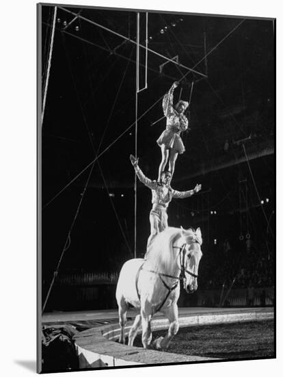 Ringling Brothers' Barnum and Bailey Circus Performers Riding on Back of Horse-Ralph Morse-Mounted Photographic Print