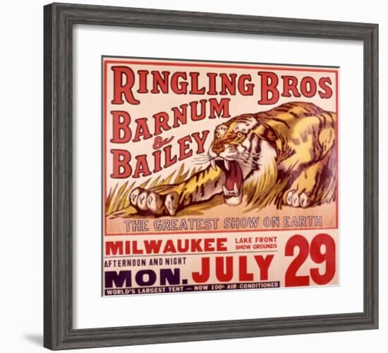 Ringling Brothers: Tiger-null-Framed Giclee Print