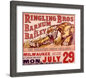 Ringling Brothers: Tiger-null-Framed Giclee Print