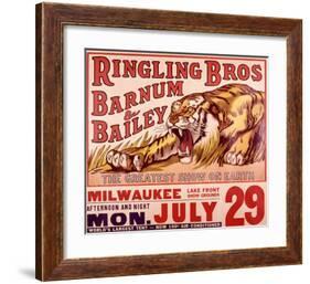 Ringling Brothers: Tiger-null-Framed Giclee Print