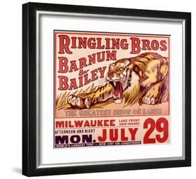 Ringling Brothers: Tiger-null-Framed Giclee Print