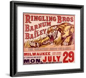 Ringling Brothers: Tiger-null-Framed Giclee Print