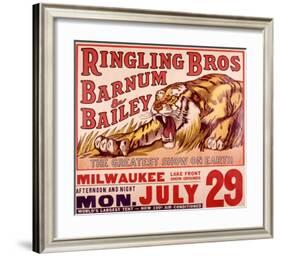 Ringling Brothers: Tiger-null-Framed Giclee Print