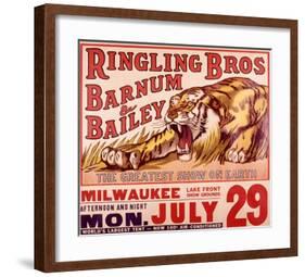 Ringling Brothers: Tiger-null-Framed Giclee Print