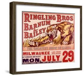 Ringling Brothers: Tiger-null-Framed Giclee Print