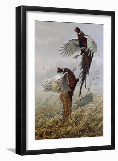 Ringneck Rivalry-Wilhelm Goebel-Framed Giclee Print