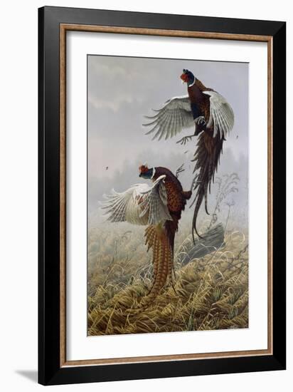 Ringneck Rivalry-Wilhelm Goebel-Framed Giclee Print