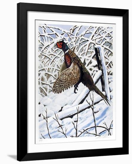 Ringnecked Pheasant-Allen Friedman-Framed Collectable Print