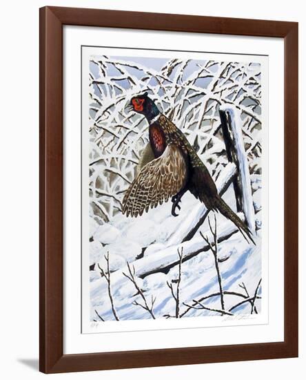 Ringnecked Pheasant-Allen Friedman-Framed Collectable Print