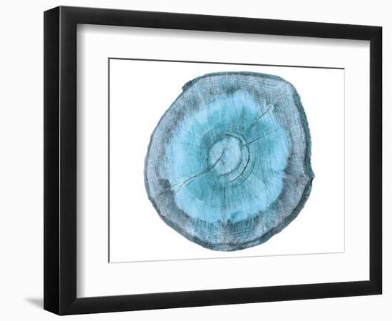 Rings Of Ages 2-Sheldon Lewis-Framed Art Print