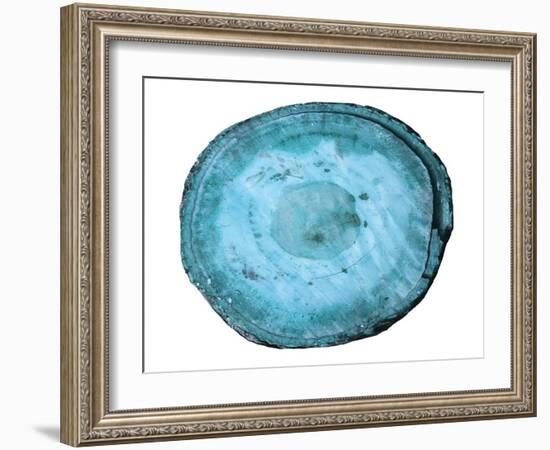 Rings Of Ages-Sheldon Lewis-Framed Art Print