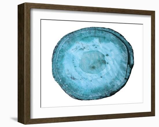 Rings Of Ages-Sheldon Lewis-Framed Art Print