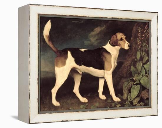 Ringwood, a Brocklesby Foxhound, 1792-George Stubbs-Framed Premier Image Canvas