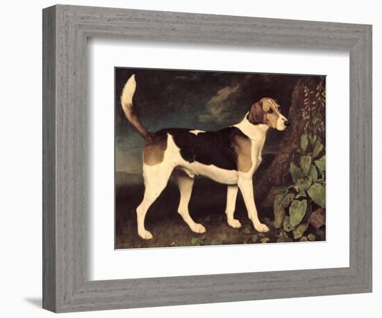 Ringwood, a Brocklesby Foxhound, 1792-George Stubbs-Framed Premium Giclee Print