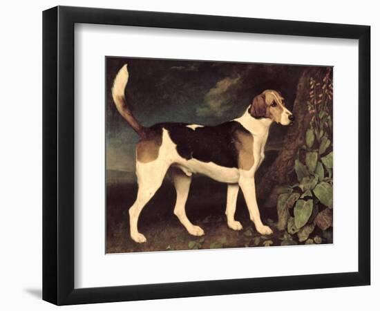 Ringwood, a Brocklesby Foxhound, 1792-George Stubbs-Framed Premium Giclee Print