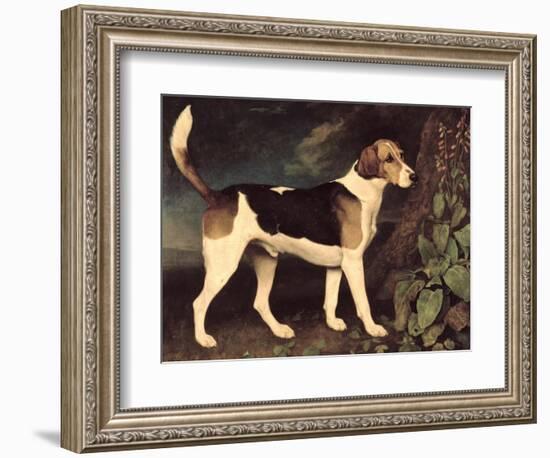 Ringwood, a Brocklesby Foxhound, 1792-George Stubbs-Framed Giclee Print