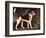 Ringwood, a Brocklesby Foxhound, 1792-George Stubbs-Framed Giclee Print