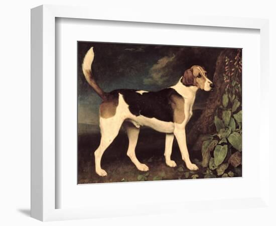 Ringwood, a Brocklesby Foxhound, 1792-George Stubbs-Framed Giclee Print